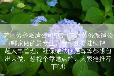 菏泽劳务派遣公司电话(菏泽劳务派遣公司哪家做的最专业，我们还要陆续把一起人事管理，社保缴纳问题等等都想包出去做，想找个靠谱点的，大家给推荐下呗)