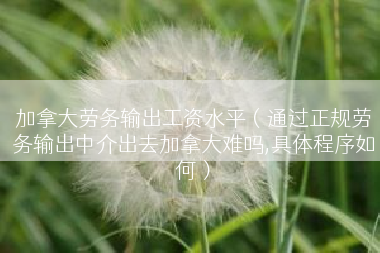 加拿大劳务输出工资水平（通过正规劳务输出中介出去加拿大难吗,具体程序如何）