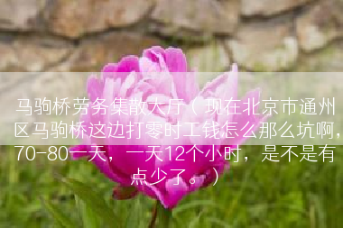马驹桥劳务集散大厅（现在北京市通州区马驹桥这边打零时工钱怎么那么坑啊，70-80一天，一天12个小时，是不是有点少了。）