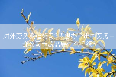 对外劳务派遣公司?我想办个出国劳务中介公司一般需要什么手续?