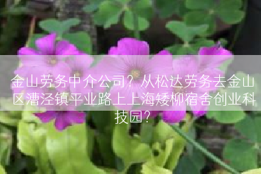 金山劳务中介公司？从松达劳务去金山区漕泾镇平业路上上海矮柳宿舍创业科技园？