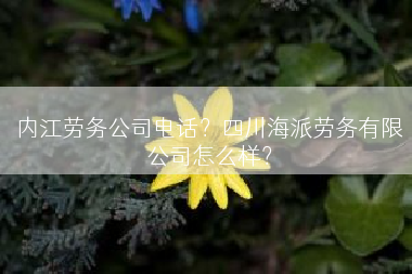 内江劳务公司电话？四川海派劳务有限公司怎么样？