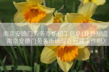 南京安德门劳务市场招工信息(我想知道南京安德门劳务市场现在好找工作吗)
