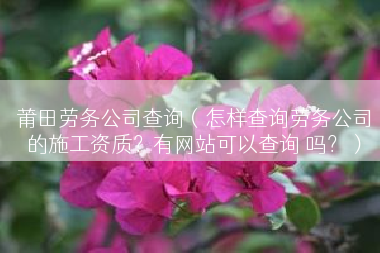 莆田劳务公司查询（怎样查询劳务公司的施工资质？有网站可以查询 吗？）