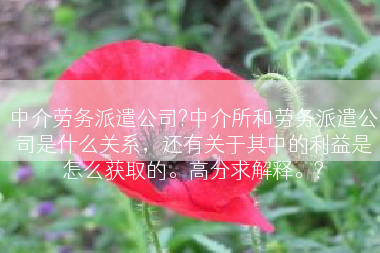 中介劳务派遣公司?中介所和劳务派遣公司是什么关系，还有关于其中的利益是怎么获取的。高分求解释。?