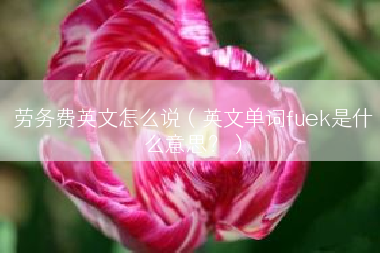 劳务费英文怎么说（英文单词fuek是什么意思？）