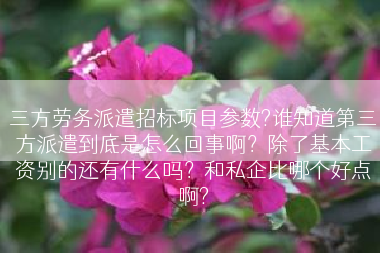 三方劳务派遣招标项目参数?谁知道第三方派遣到底是怎么回事啊？除了基本工资别的还有什么吗？和私企比哪个好点啊?