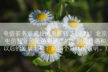 电信劳务派遣找关系能转正(求助！北京电信营业员是劳务派遣的。到底待遇和以后的发展怎样？能给个具体的说明。)