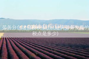 劳务分包增值税税率6%(建筑劳务发票的税点是多少)