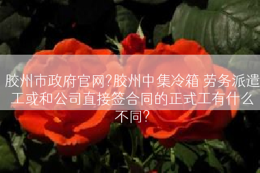 胶州市政府官网?胶州中集冷箱 劳务派遣工或和公司直接签合同的正式工有什么不同?