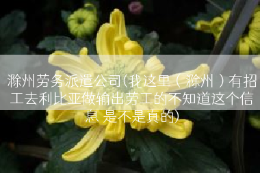 滁州劳务派遣公司(我这里（滁州）有招工去利比亚做输出劳工的不知道这个信息 是不是真的)