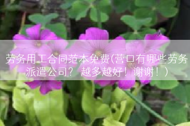 劳务用工合同范本免费(营口有哪些劳务派遣公司？ 越多越好！谢谢！)