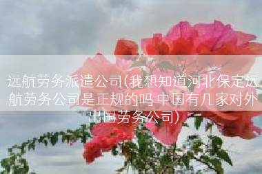 远航劳务派遣公司(我想知道河北保定远航劳务公司是正规的吗 中国有几家对外出国劳务公司)