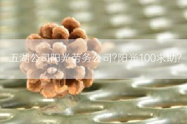 五湖公司阳光劳务公司?阳光100求助?