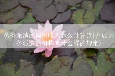 劳务派遣所得税收入怎么计算(对开展劳务派遣的机构有什么样的规定)