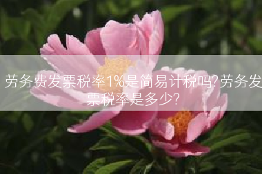 劳务费发票税率1%是简易计税吗?劳务发票税率是多少?