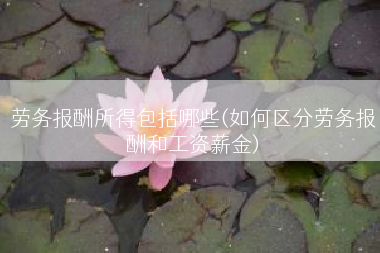劳务报酬所得包括哪些(如何区分劳务报酬和工资薪金)