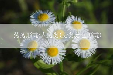 劳务形式:大劳务(劳务分包形式)