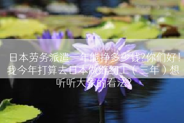 日本劳务派遣一年能挣多少钱?你们好！我今年打算去日本做缝纫工（三年）想听听大家的看法?