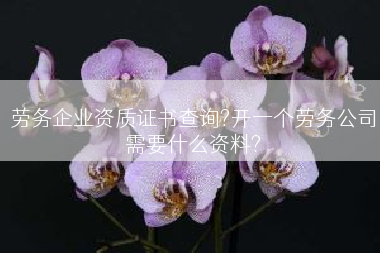 劳务企业资质证书查询?开一个劳务公司需要什么资料?