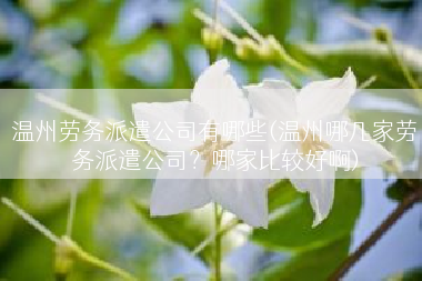 温州劳务派遣公司有哪些(温州哪几家劳务派遣公司？哪家比较好啊)