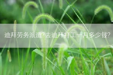 迪拜劳务派遣?去迪拜打工一月多少钱?