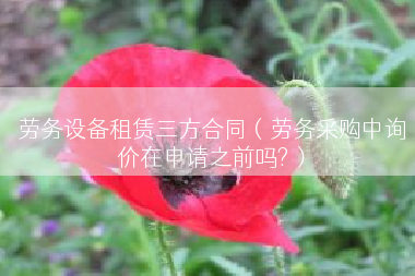 劳务设备租赁三方合同（劳务采购中询价在申请之前吗?）