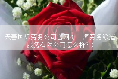 天善国际劳务公司官网（上海劳务派遣服务有限公司怎么样?）