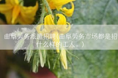 曲阜劳务派遣招聘(曲阜劳务市场都是招什么样的工人。)