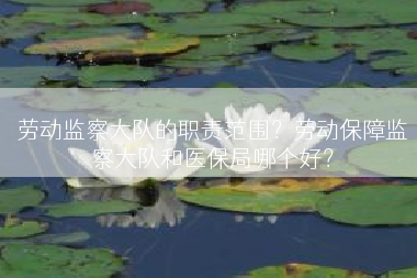劳动监察大队的职责范围？劳动保障监察大队和医保局哪个好？