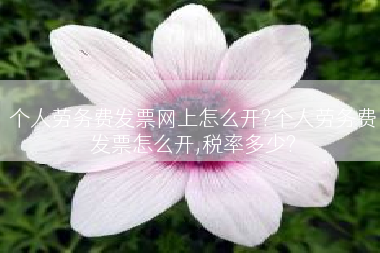 个人劳务费发票网上怎么开?个人劳务费发票怎么开,税率多少?
