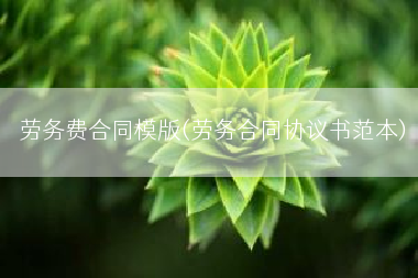 劳务费合同模版(劳务合同协议书范本)