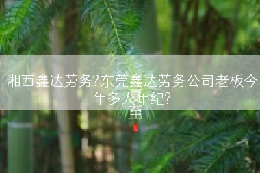 湘西鑫达劳务?东莞鑫达劳务公司老板今年多大年纪?