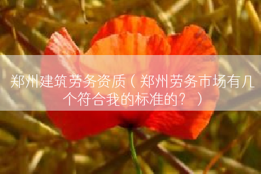 郑州建筑劳务资质（郑州劳务市场有几个符合我的标准的？）