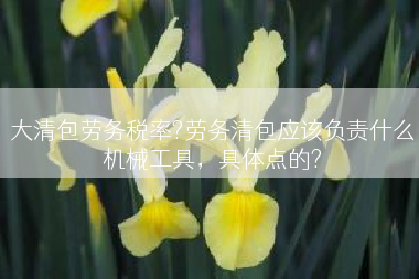 大清包劳务税率?劳务清包应该负责什么机械工具，具体点的?