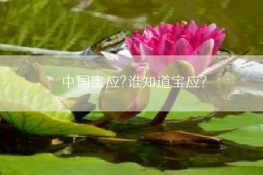 中国宝应?谁知道宝应?