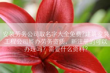 安装劳务公司取名字大全免费?建筑安装工程公司能办劳务资质，新注册的可以办理吗？需要什么资料?