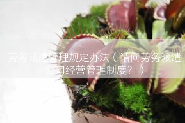 劳务派遣管理规定办法（请问劳务派遣公司经营管理制度？）