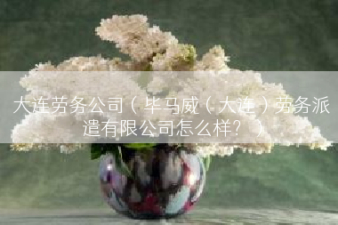 大连劳务公司（毕马威（大连）劳务派遣有限公司怎么样？）