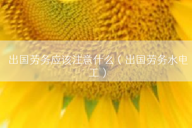 出国劳务应该注意什么（出国劳务水电工）
