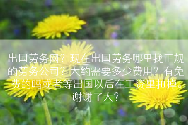 出国劳务网？现在出国劳务哪里找正规的劳务公司？大约需要多少费用？有免费的吗或者等出国以后在工资里扣掉。谢谢了大？