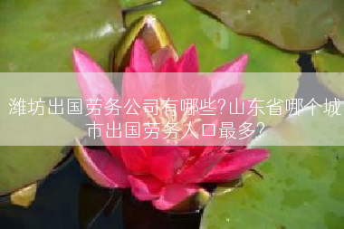 潍坊出国劳务公司有哪些?山东省哪个城市出国劳务人口最多?
