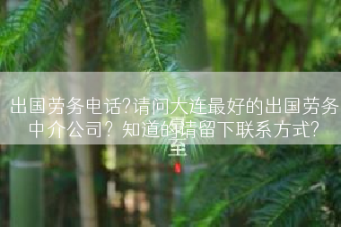 出国劳务电话?请问大连最好的出国劳务中介公司？知道的请留下联系方式?