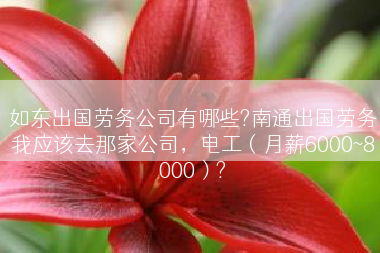 如东出国劳务公司有哪些?南通出国劳务我应该去那家公司，电工（月薪6000~8000）?