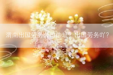 渭南出国劳务公司地址？出国劳务吖？