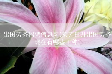 出国劳务招聘信息网(莱芜日升出国劳务现在有哪些工种) 出国劳务招聘信息网(莱芜日升出国劳务现在有哪些工种)